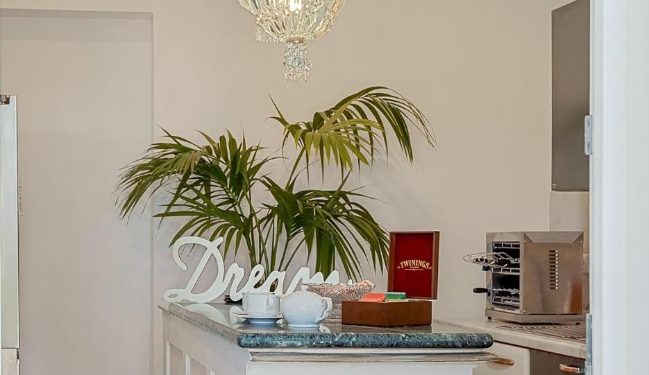 Dreams Guest house