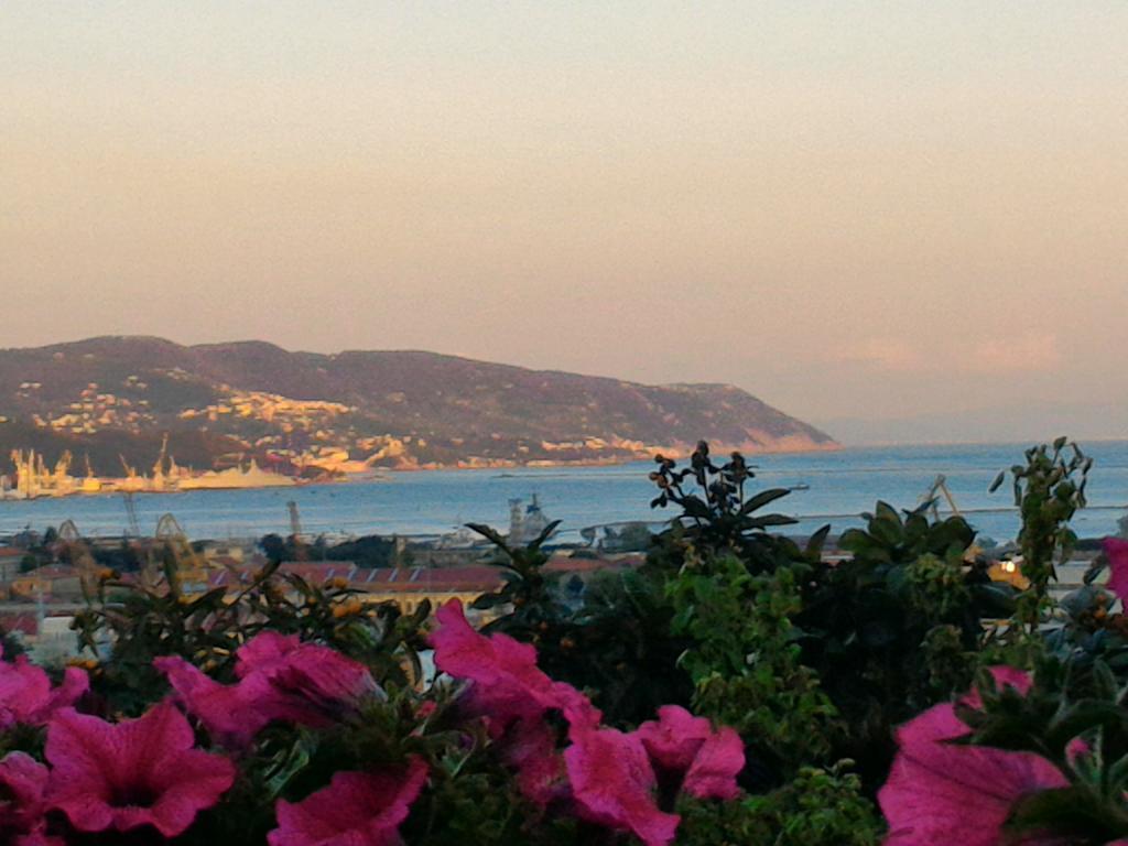 Affittacamere Dreams La Spezia