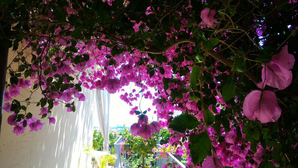 Guest house Dreams La Spezia